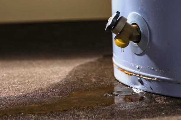  Frenchtown, MT Water damage restoration Pros