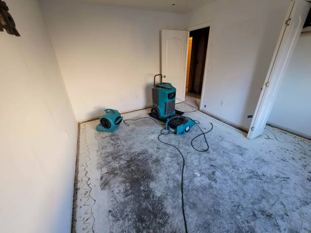 Best Water damage restoration near me  in Frenchtown, MT