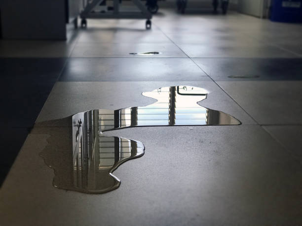 Best 24-hour water damage restoration  in Frenchtown, MT