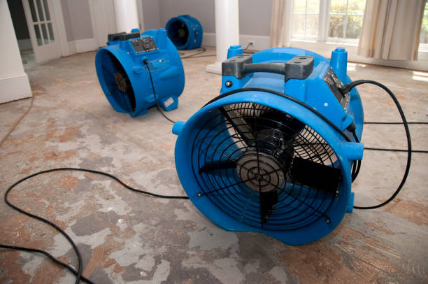 Best Carpet water damage restoration  in Frenchtown, MT