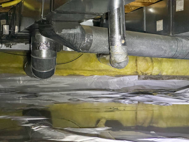 Best Water damage cleanup near me  in Frenchtown, MT