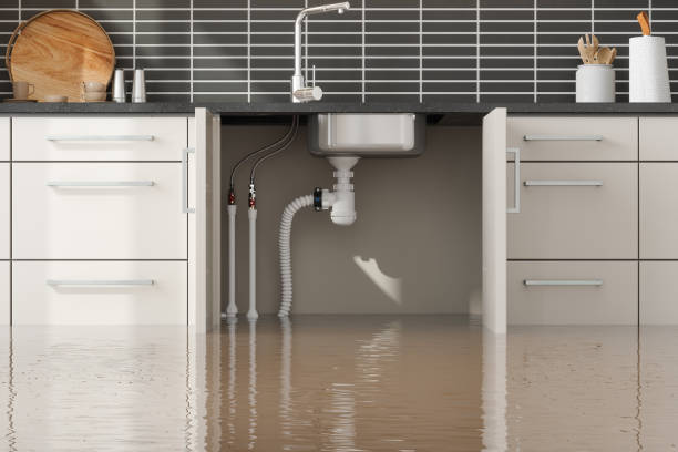 Reliable MT Water damage restoration Solutions