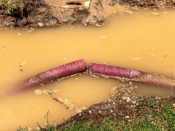 Best Carpet water damage restoration  in Frenchtown, MT